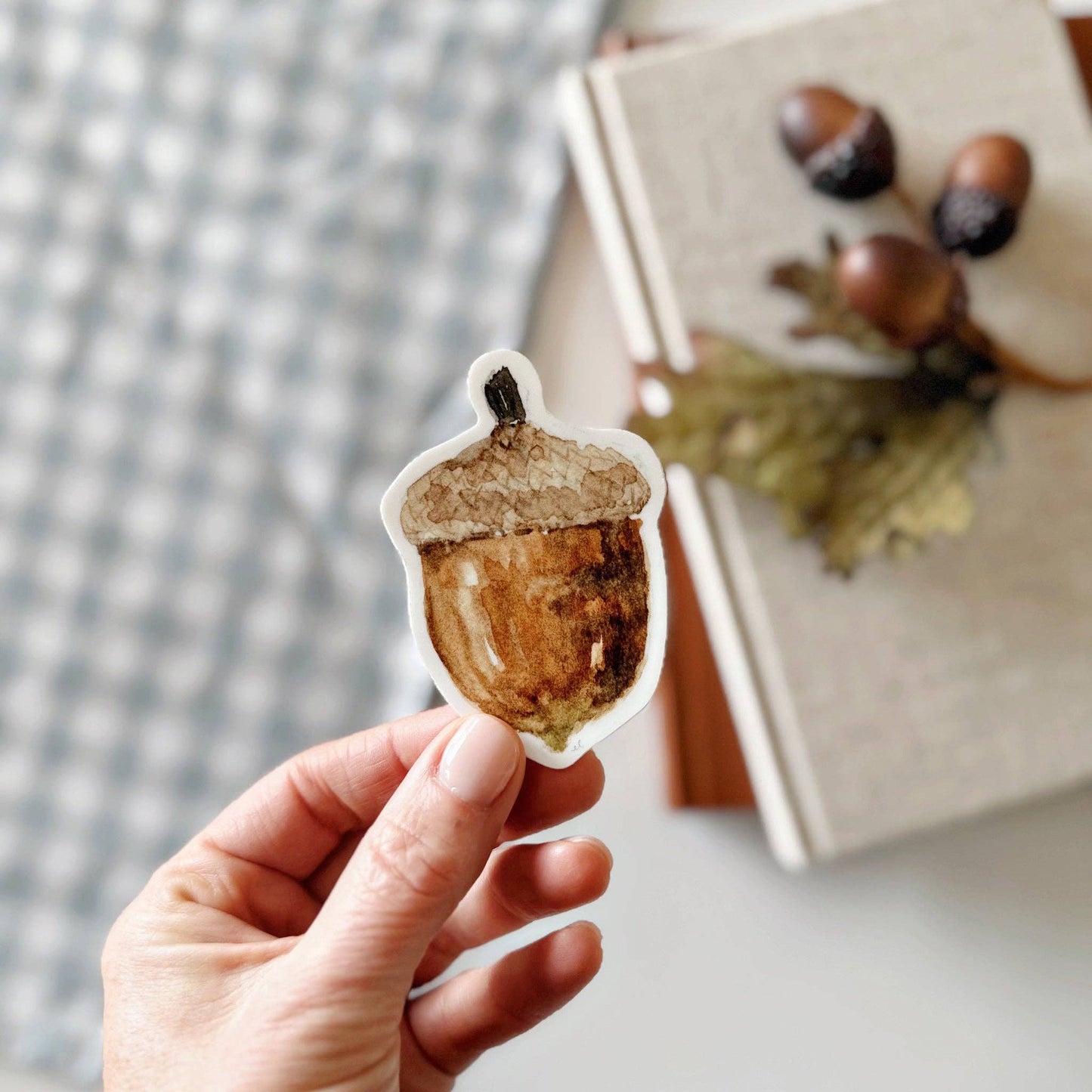 emily lex studio - Acorn sticker