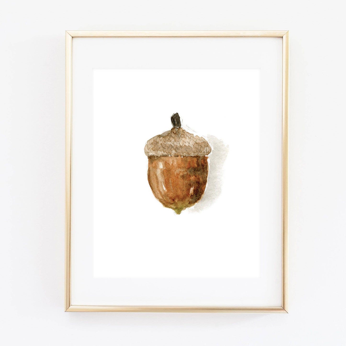 emily lex studio - Acorn art print