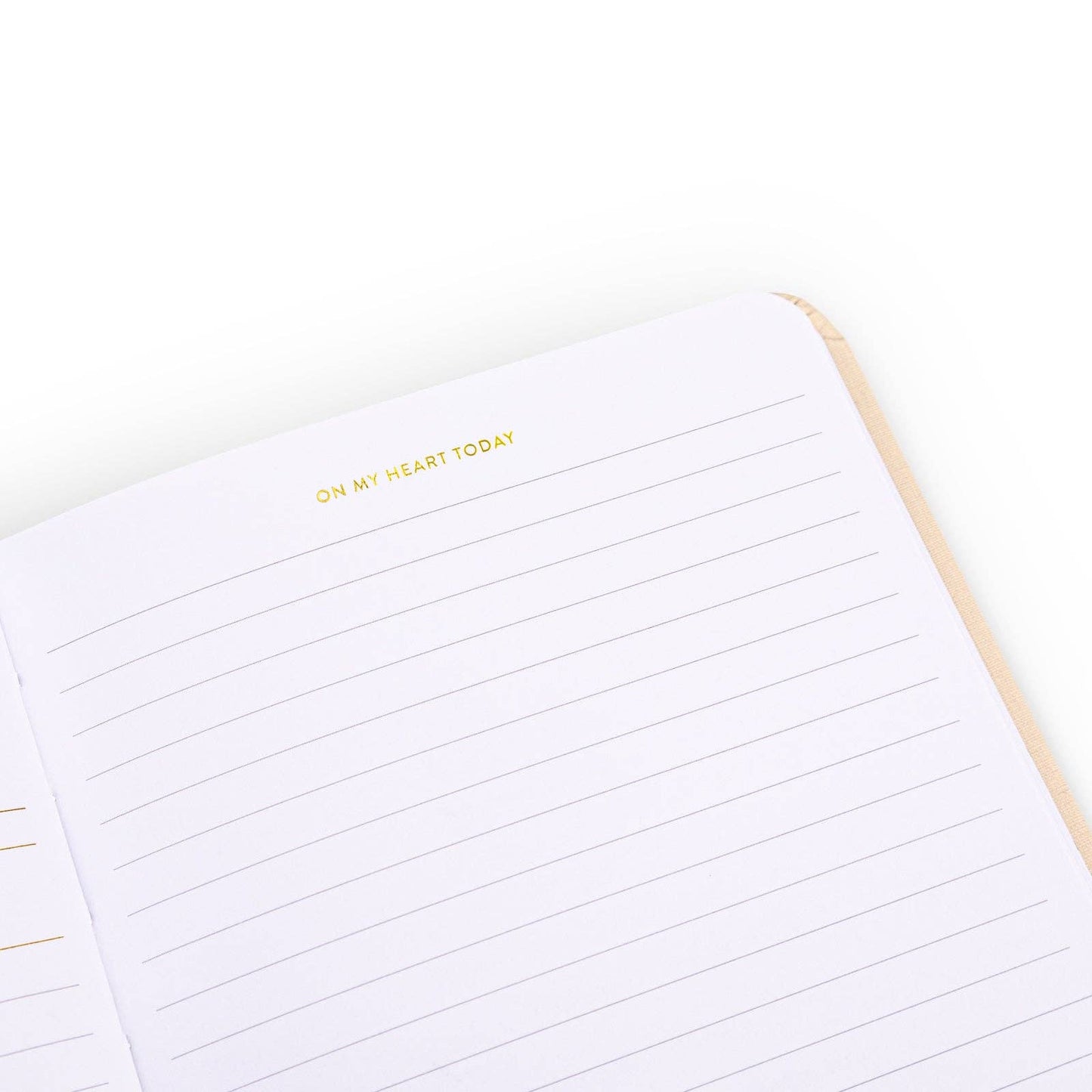 Cultivate What Matters - Write The Word® | Choose Your Own Scripture Journal