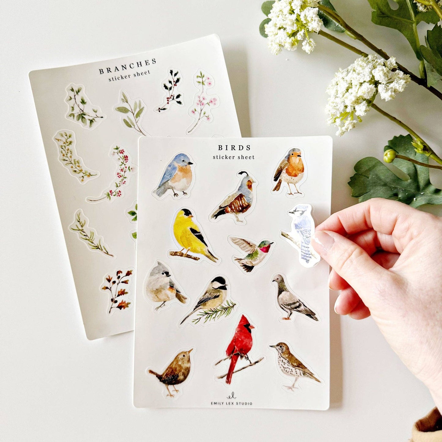 emily lex studio - Birds sticker sheets