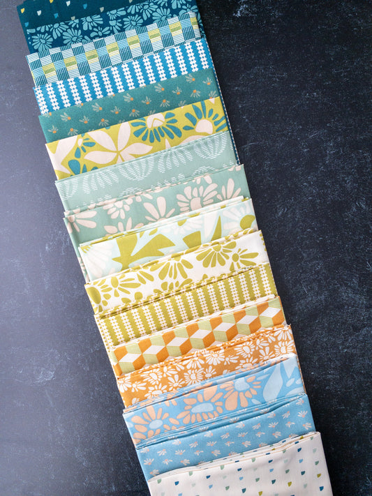 evolve | SuzyQuilts | AGF