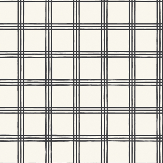 Creepy Crossroads Ghost | Ghostly & Haunted | Flannel