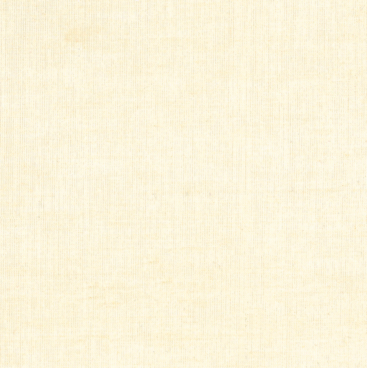 Vanilla Shot Cotton Yarn Dye | Studio E