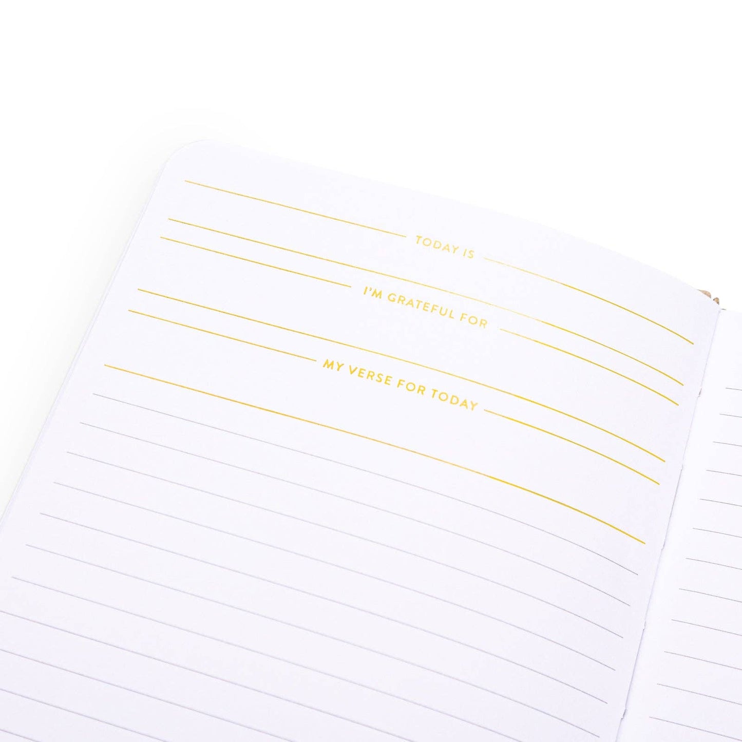 Cultivate What Matters - Write The Word® | Choose Your Own Scripture Journal
