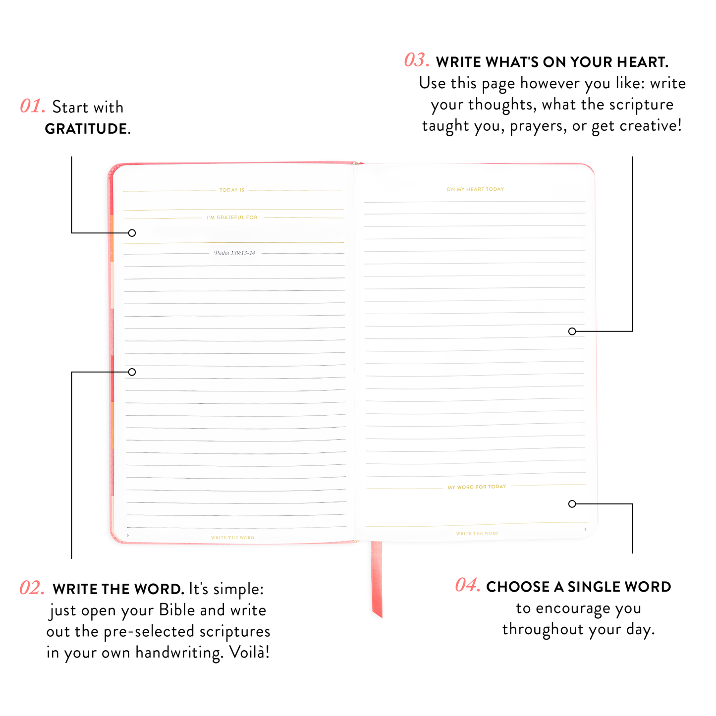 Cultivate What Matters - Write The Word® Journal | Cultivate Faith (NEW)