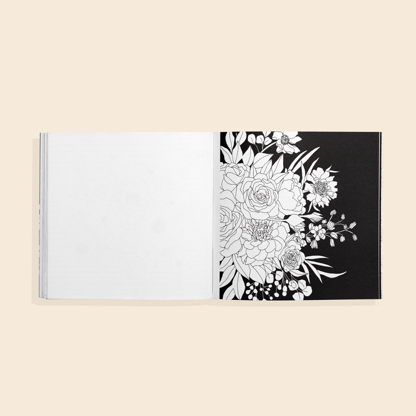 Paige Tate & Co. - Bloom: A Mini Floral Coloring Book
