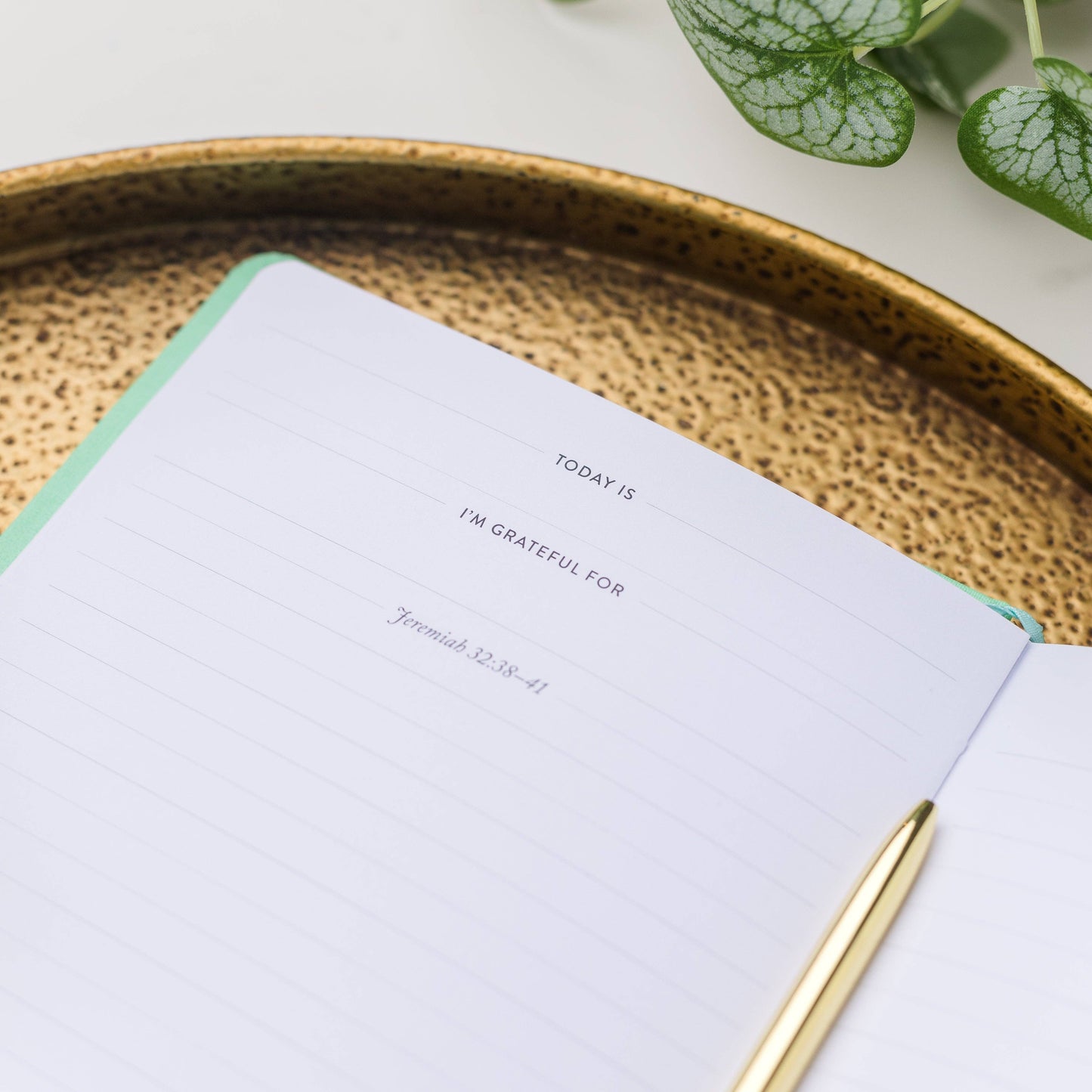 Cultivate What Matters - Write The Word® Journal | Renewal