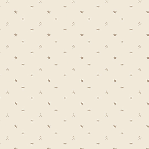 Starry Sky Snow Metallic