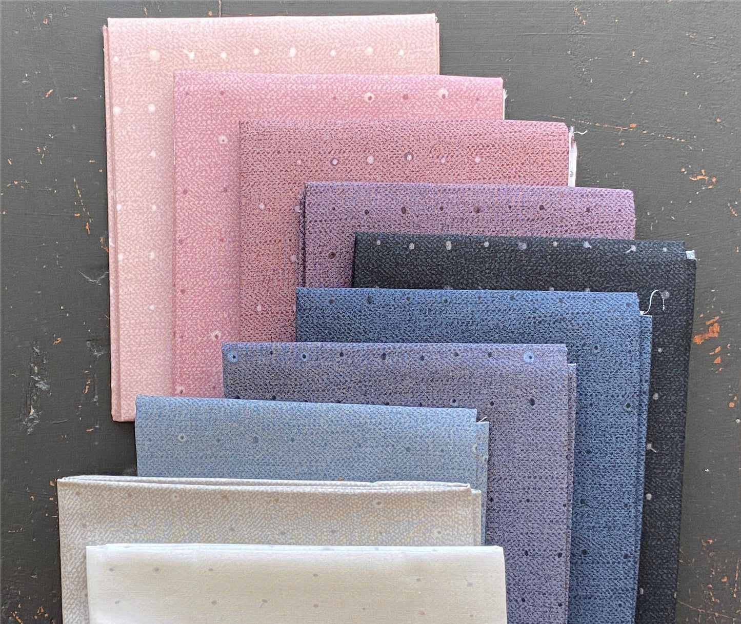 Seeds Sky | Seedlings