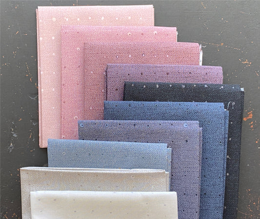 Seeds Sky | Seedlings