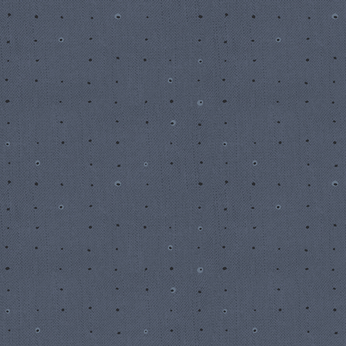 Seeds Denim | Seedlings
