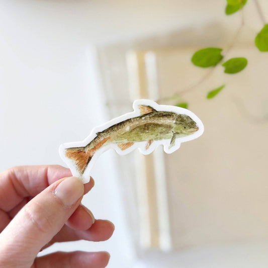 emily lex studio - Fish sticker