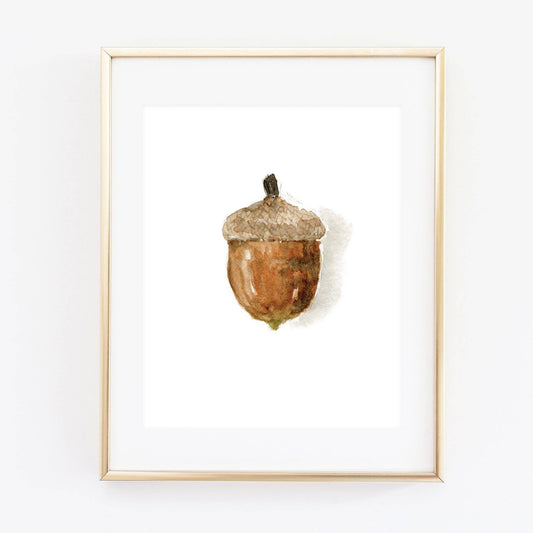 emily lex studio - Acorn art print