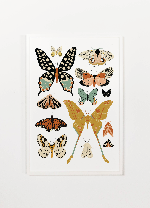 Butterfly Collector Art (Portrait) | Clementine Kids