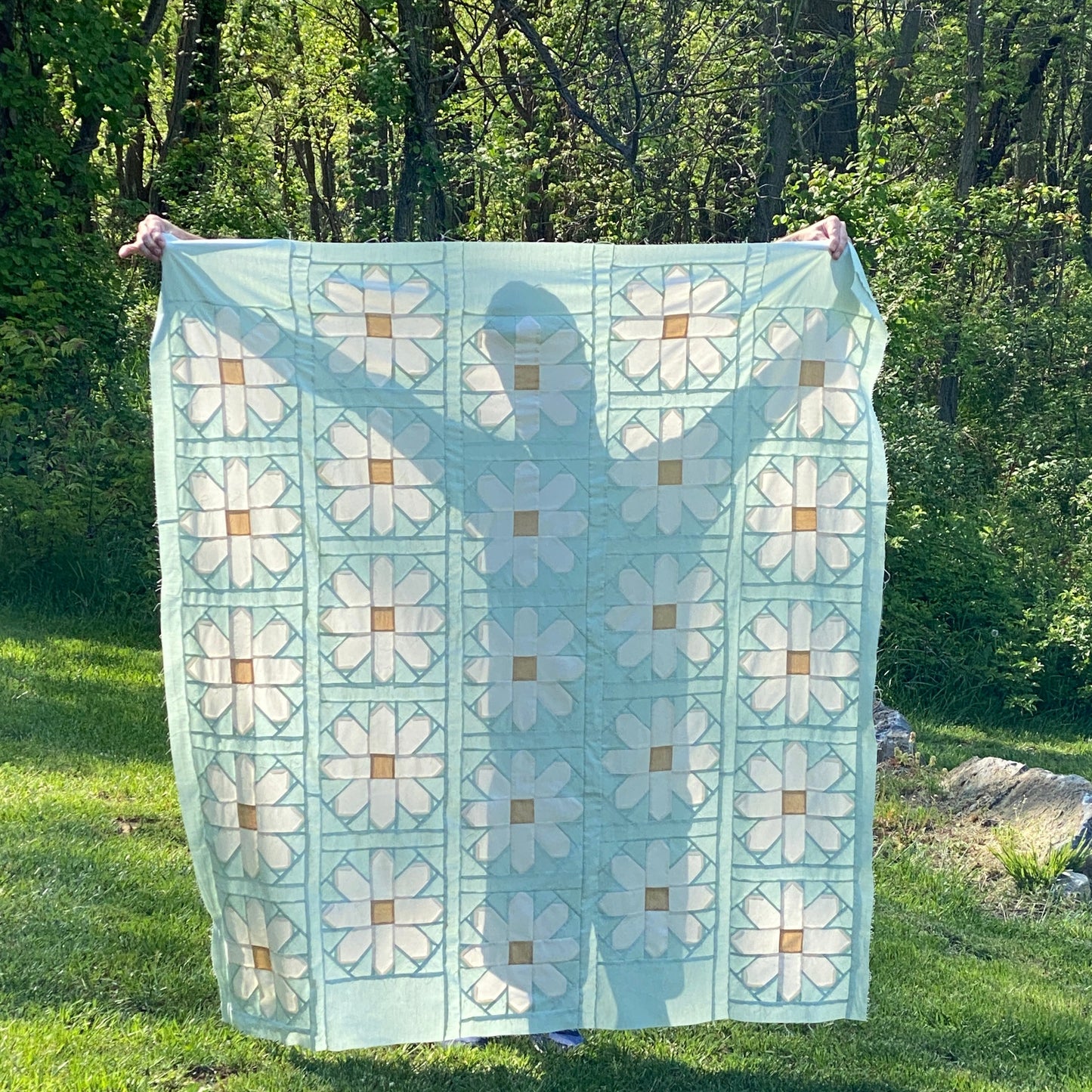 Fresh As A Daisy Quilt Kit