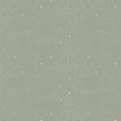 Seeds Mint | Seedlings