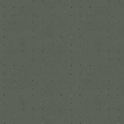 Seeds Forest | Seedlings