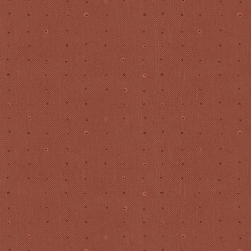 Seeds Redwood | Seedlings