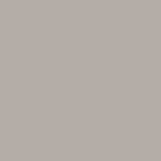 Storm | PES 594