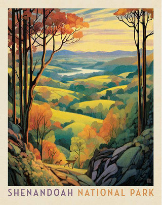 National Parks Poster Shenandoah | Riley and Blake Designs