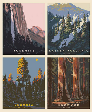 National Parks California Pillow Panel | Riley and Blake Designs