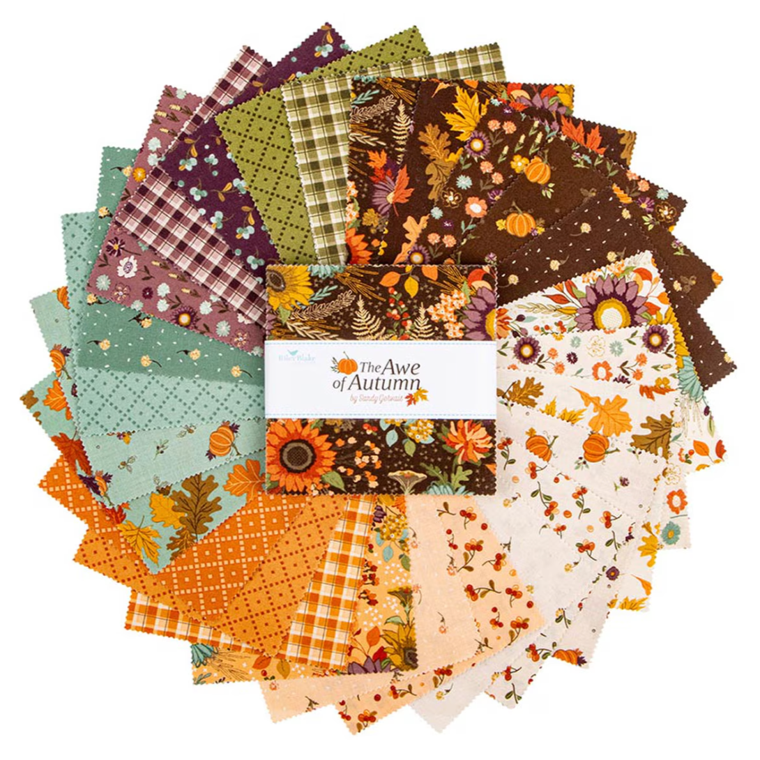 The Awe of Autumn | Riley and Blake Designs