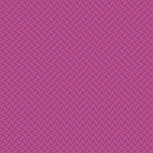 Kipling Gardens Loxely in Fuchsia | Lily Ashbury | Riley Blake Designs