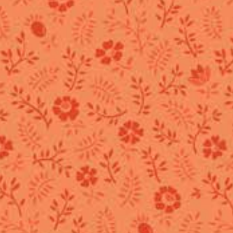 Kipling Gardens Ellington in Orange | Lily Ashbury | Riley Blake Designs