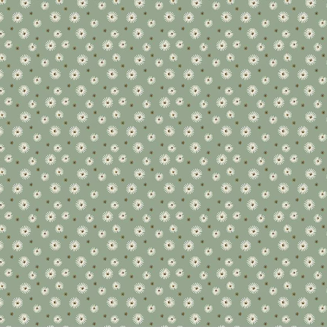 Seedpods Aloe | Morning Latte | Riley and Blake Designs