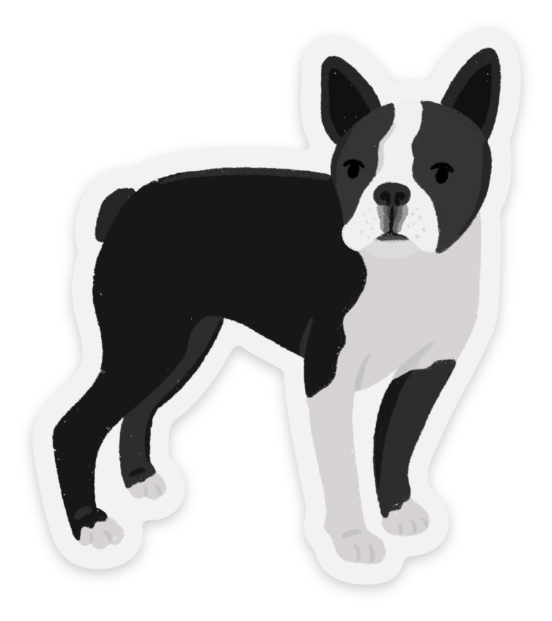 Elyse Breanne Design - Clear Boston Terrier Dog Sticker 2.46×2.8in