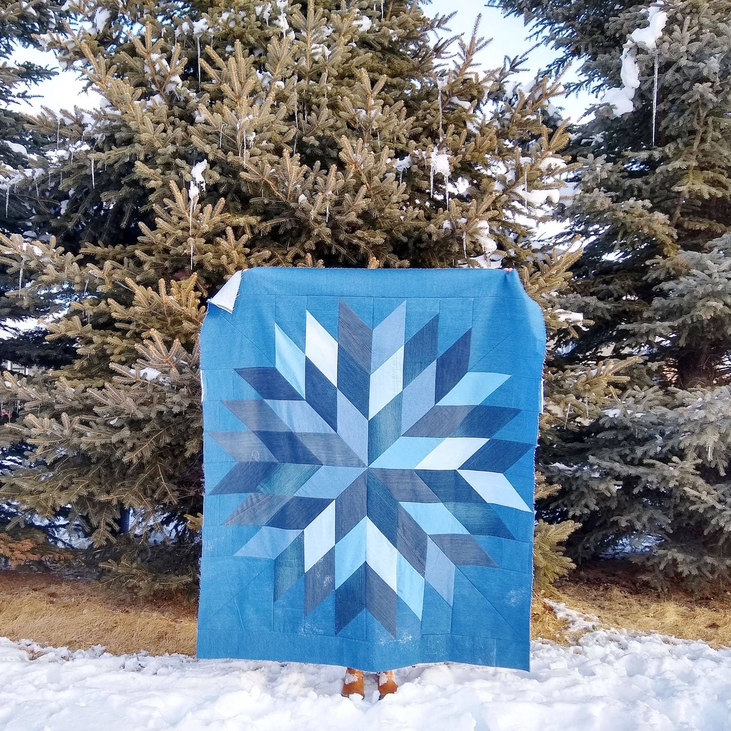 Plains and Pine - PP-02 Homestead Star Quilt Pattern 