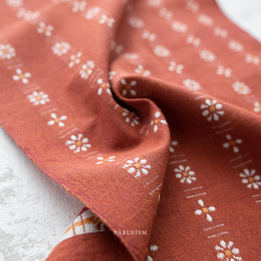 Welsummer | DAI | 07