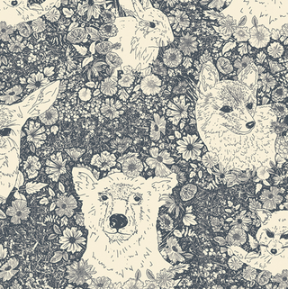 Wandering with Bear