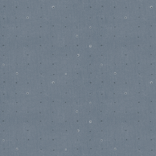 Seeds Sky | Seedlings